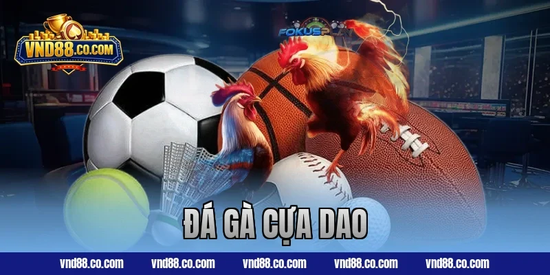đá gà cựa dao