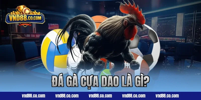 Đá gà cựa dao là gì?