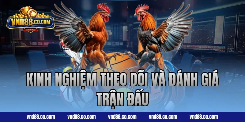 Kinh nghiệm theo dõi và đánh giá trận đấu