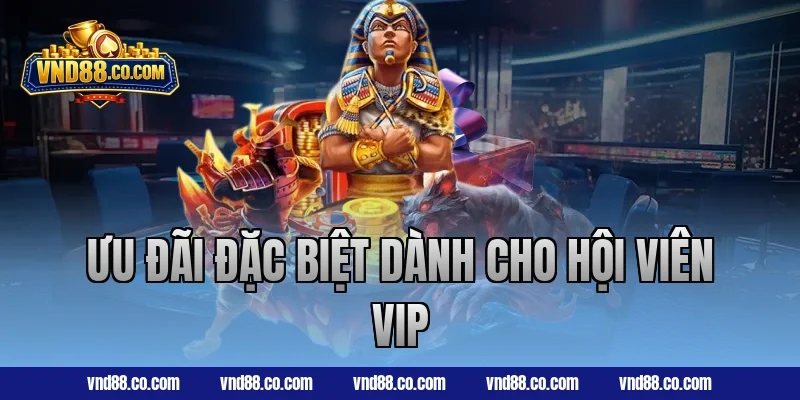 Ưu đãi đặc biệt dành cho hội viên vip